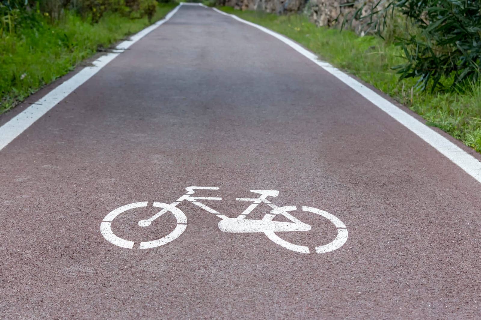 Cycle path with road signs in the woods. Foreground and depth of the horizon.