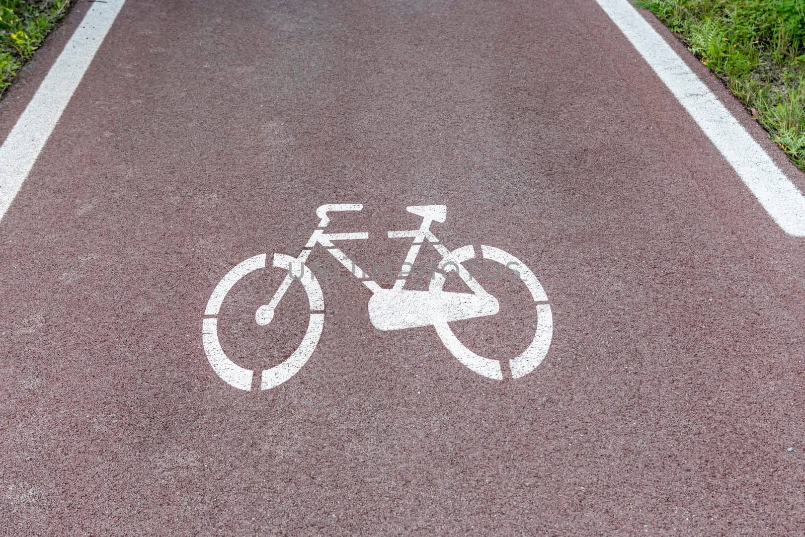 Cycle path with road signs in the woods. Foreground and depth of the horizon.