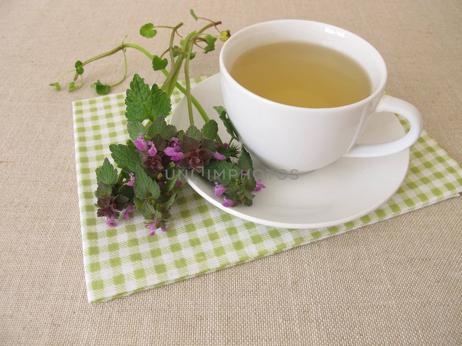 Herbal tea with purple dead nettle, Lamium purpureum