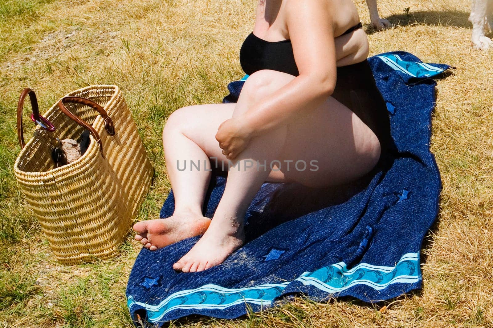 High angle view of a woman sitting on a lawn