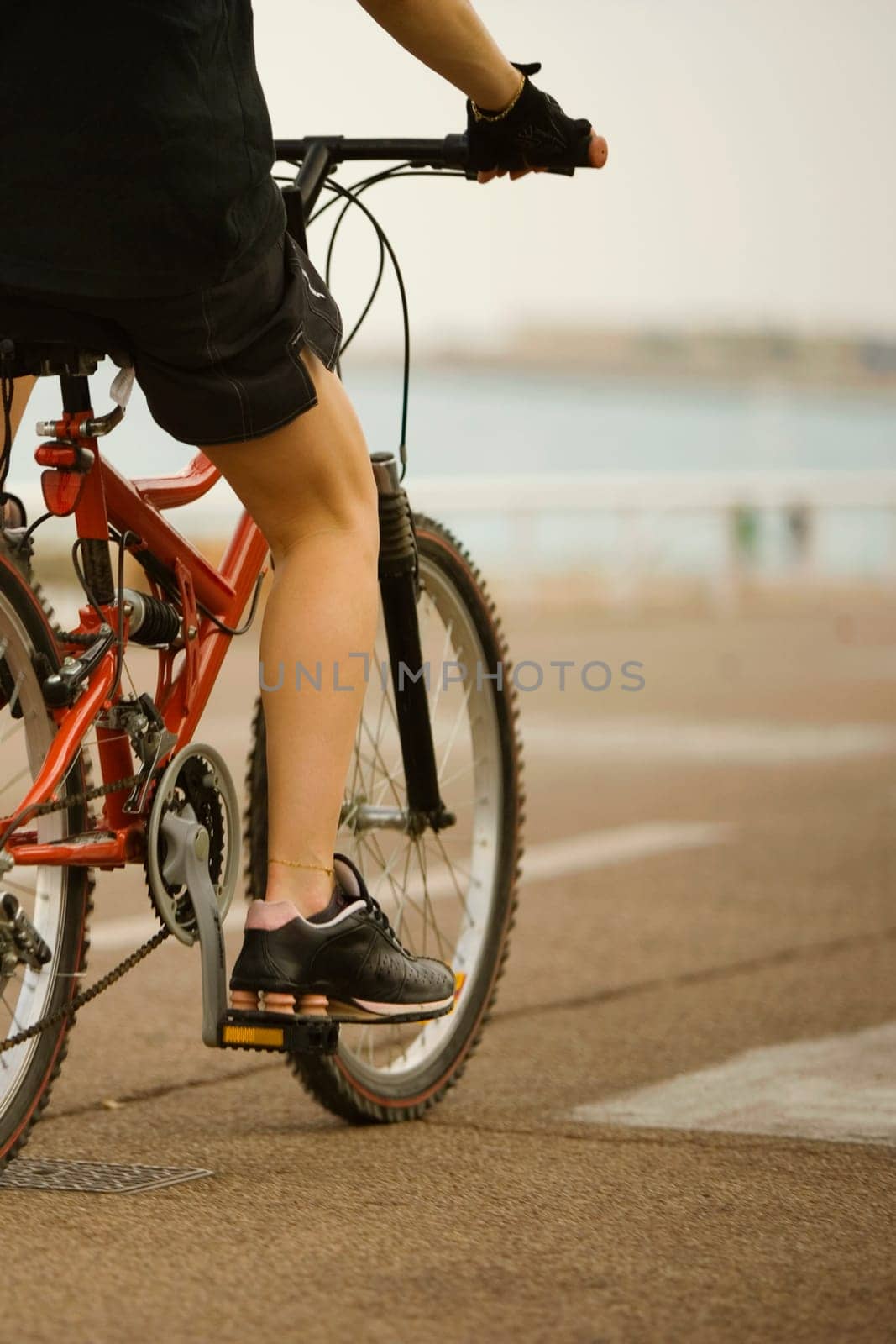 Rear view of a person riding a bicycle