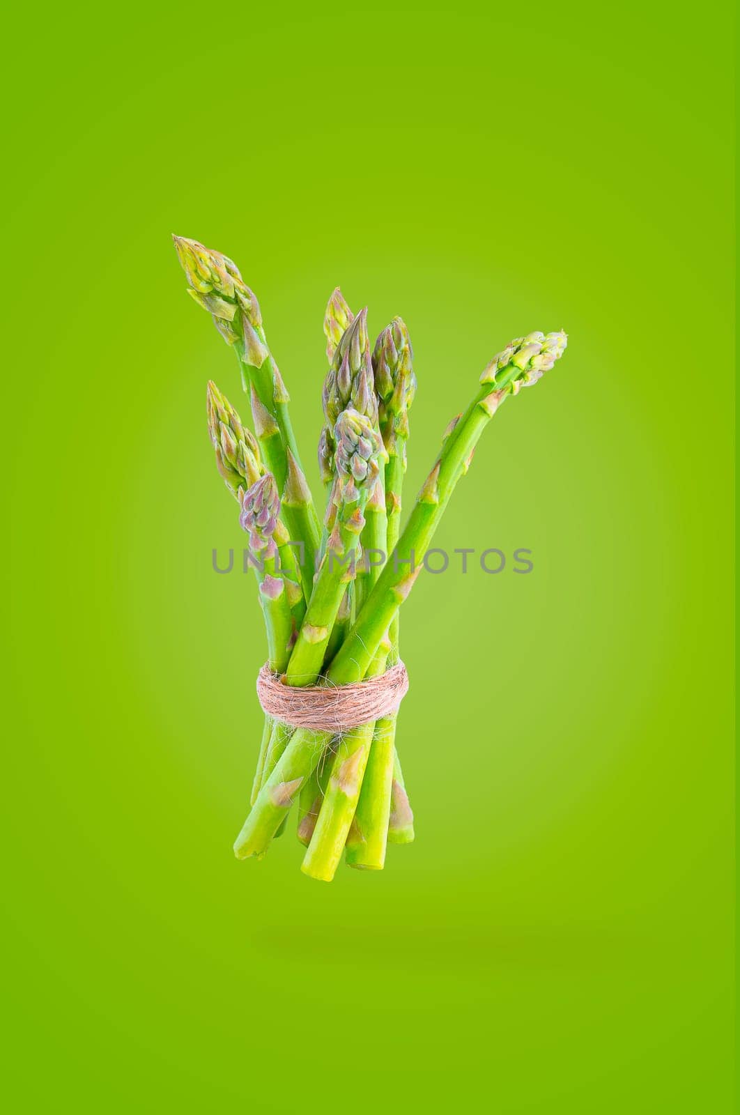 Minimal vegetables concept. Bunch of asparagus tied with thread on bright green background with shadow. Design element. Full depth of field.