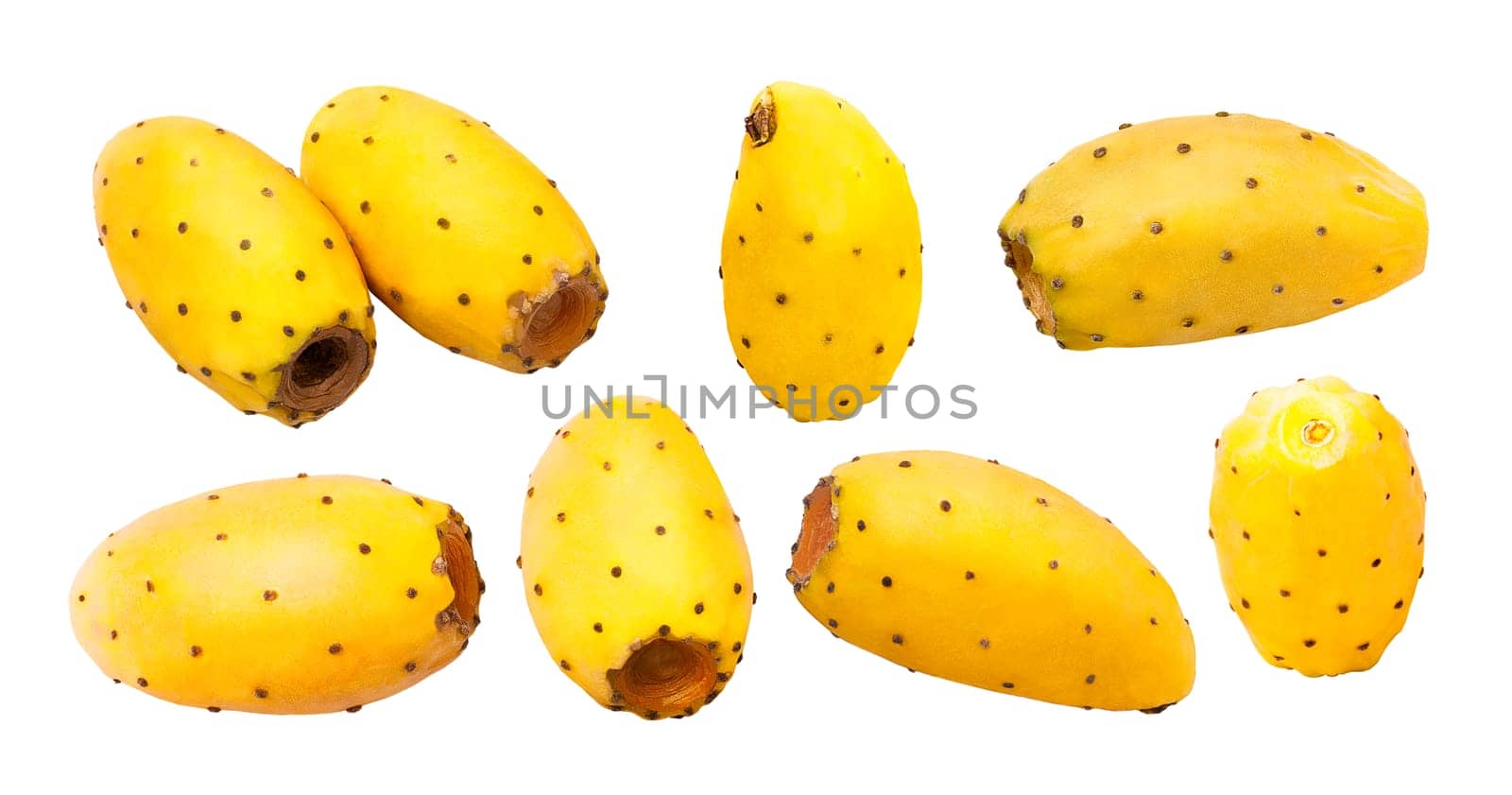 Collection of fruit. Different shapes of fresh whole prickly pears cactus isolated on white background with clipping path as package design element and advertising. Full depth of field.