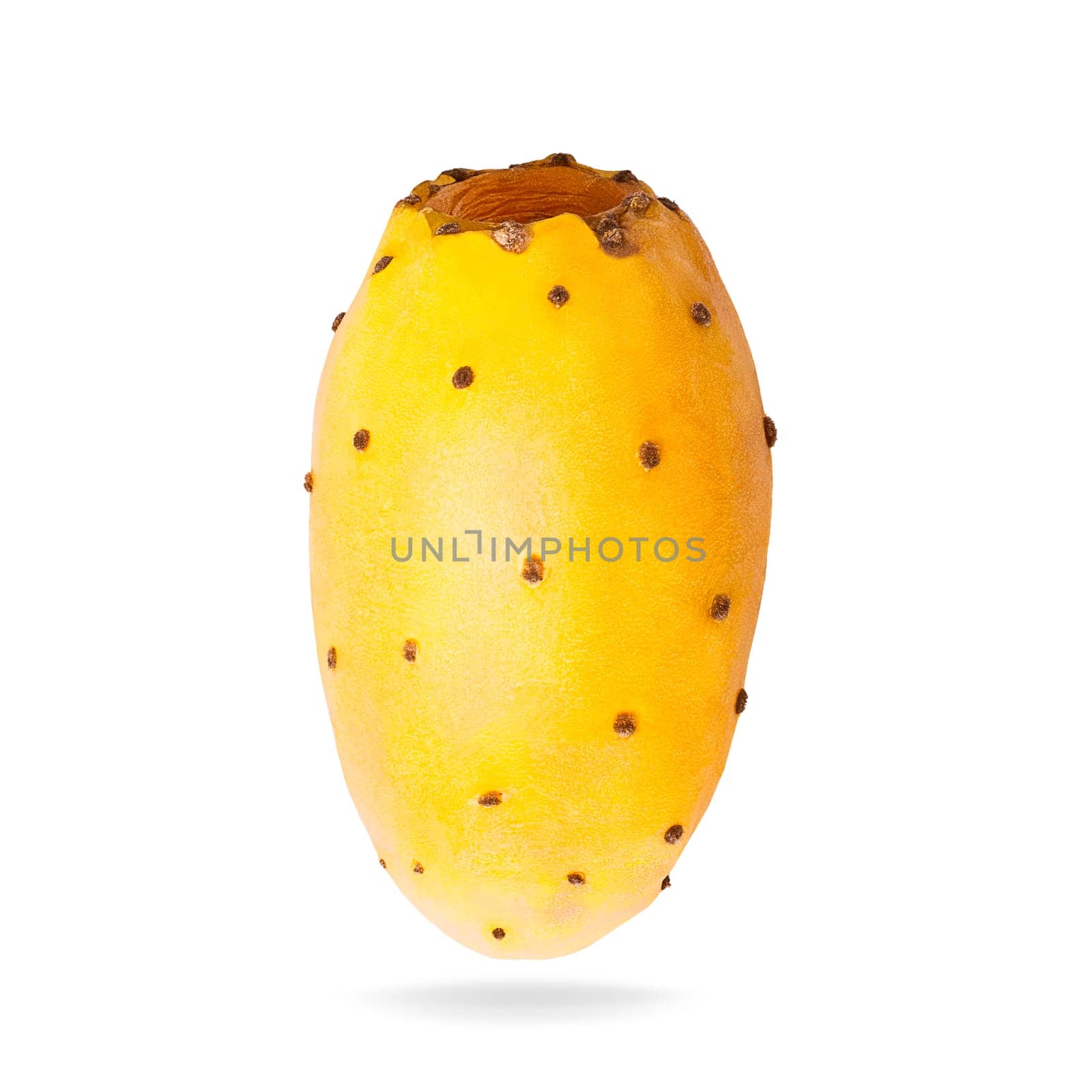 Isolated opuntia fruits with shadow for packaging and advertisement. Full depth of field. Clip art image for package design.