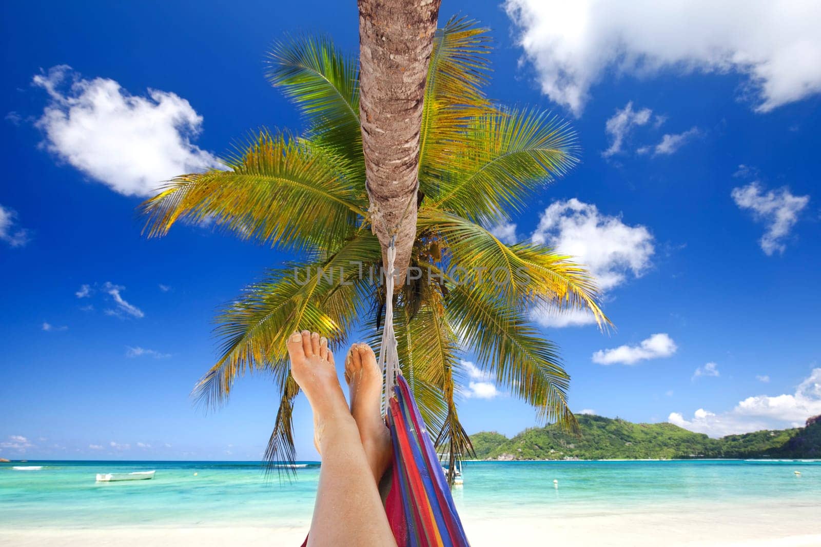 chilling in the hammock