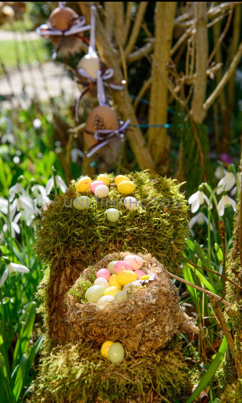 Easter eggs in a nest in the garden