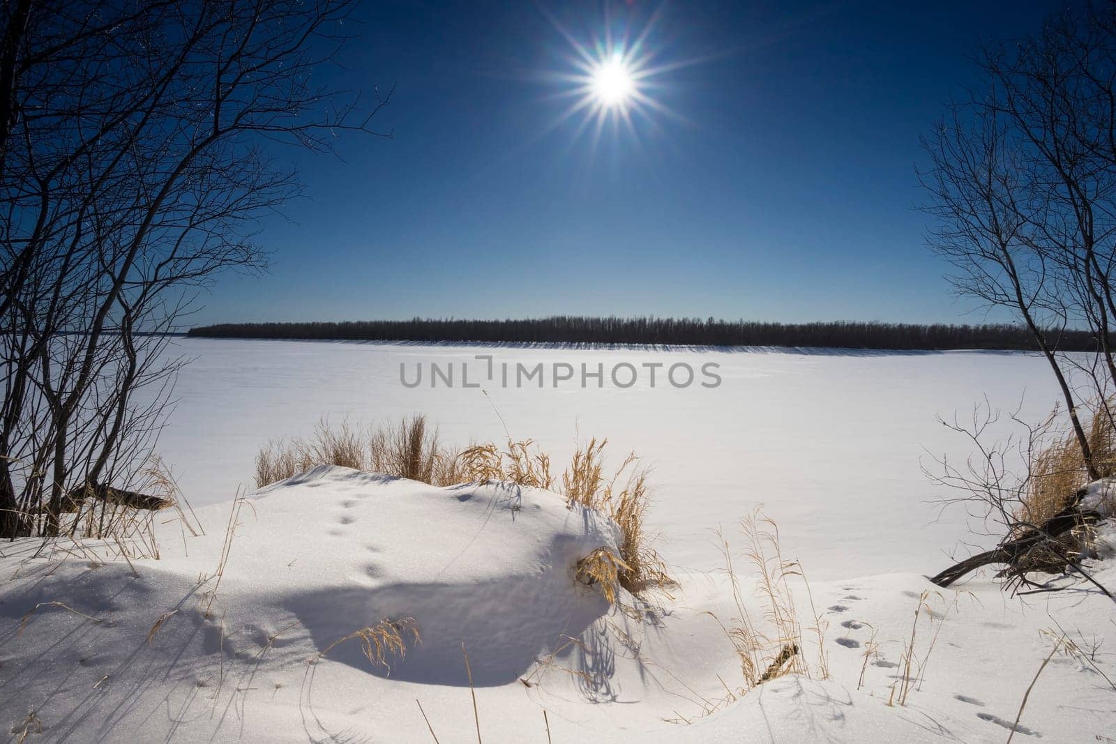 On the Ob river in a Sunny day .