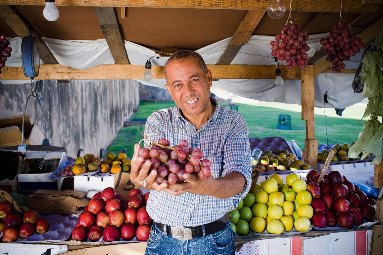 Portrait of a mature man holding a bunch of red grapes, Santo Domingo, Dominican Republic