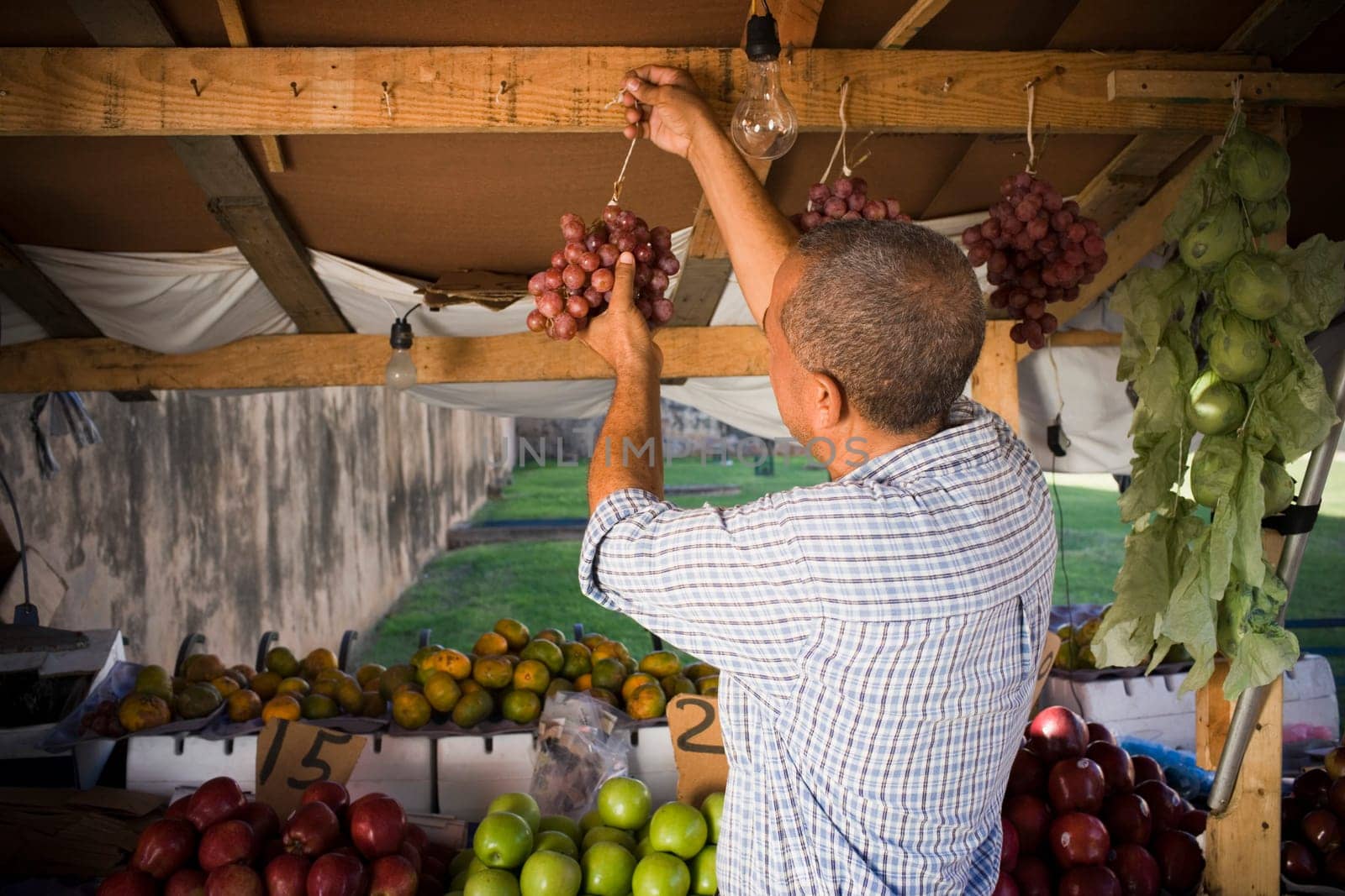 Rear view of a mature man hanging fruit in a shop, Santo Domingo, Dominican Republic