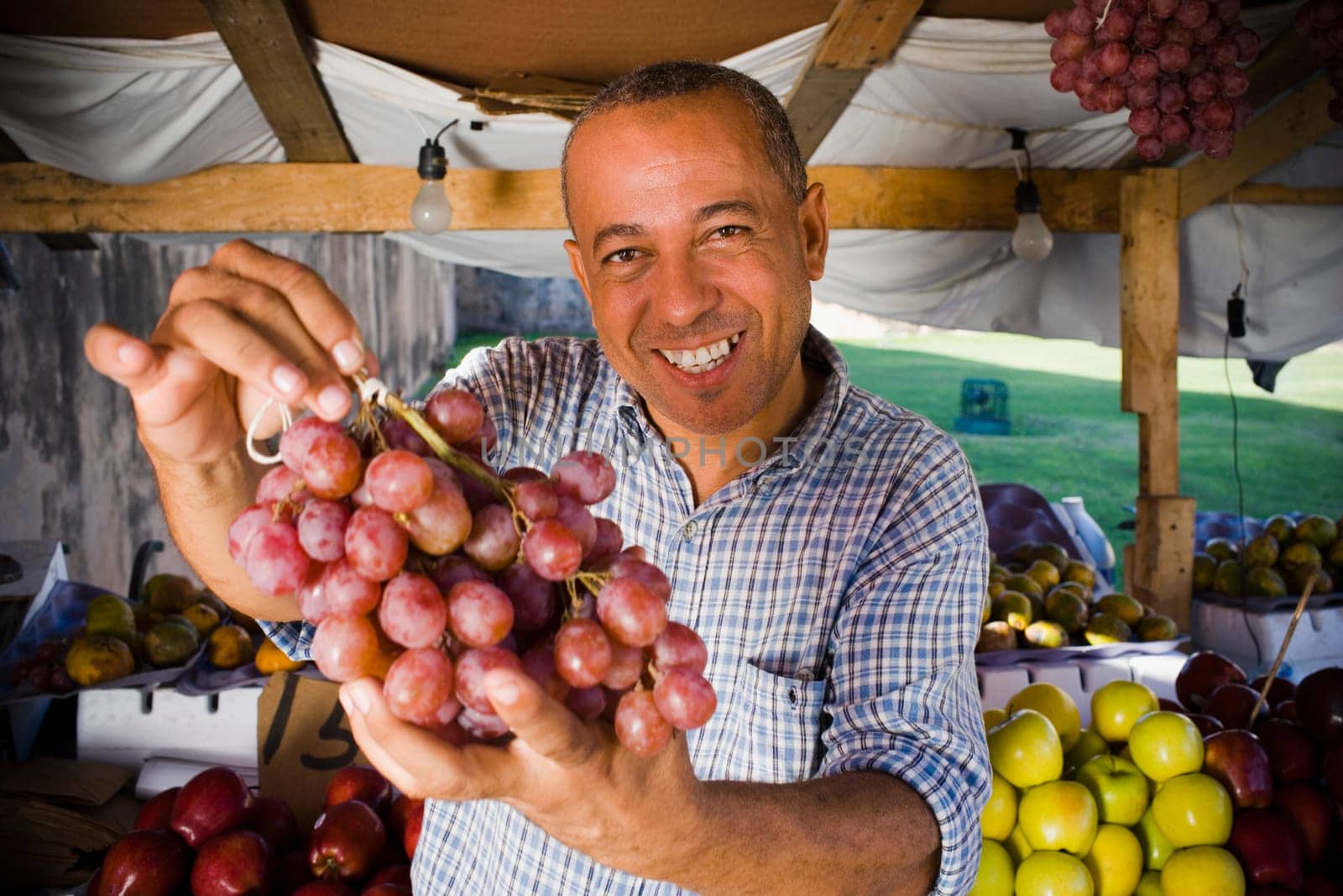 Portrait of a mature man holding a bunch of red grapes, Santo Domingo, Dominican Republic