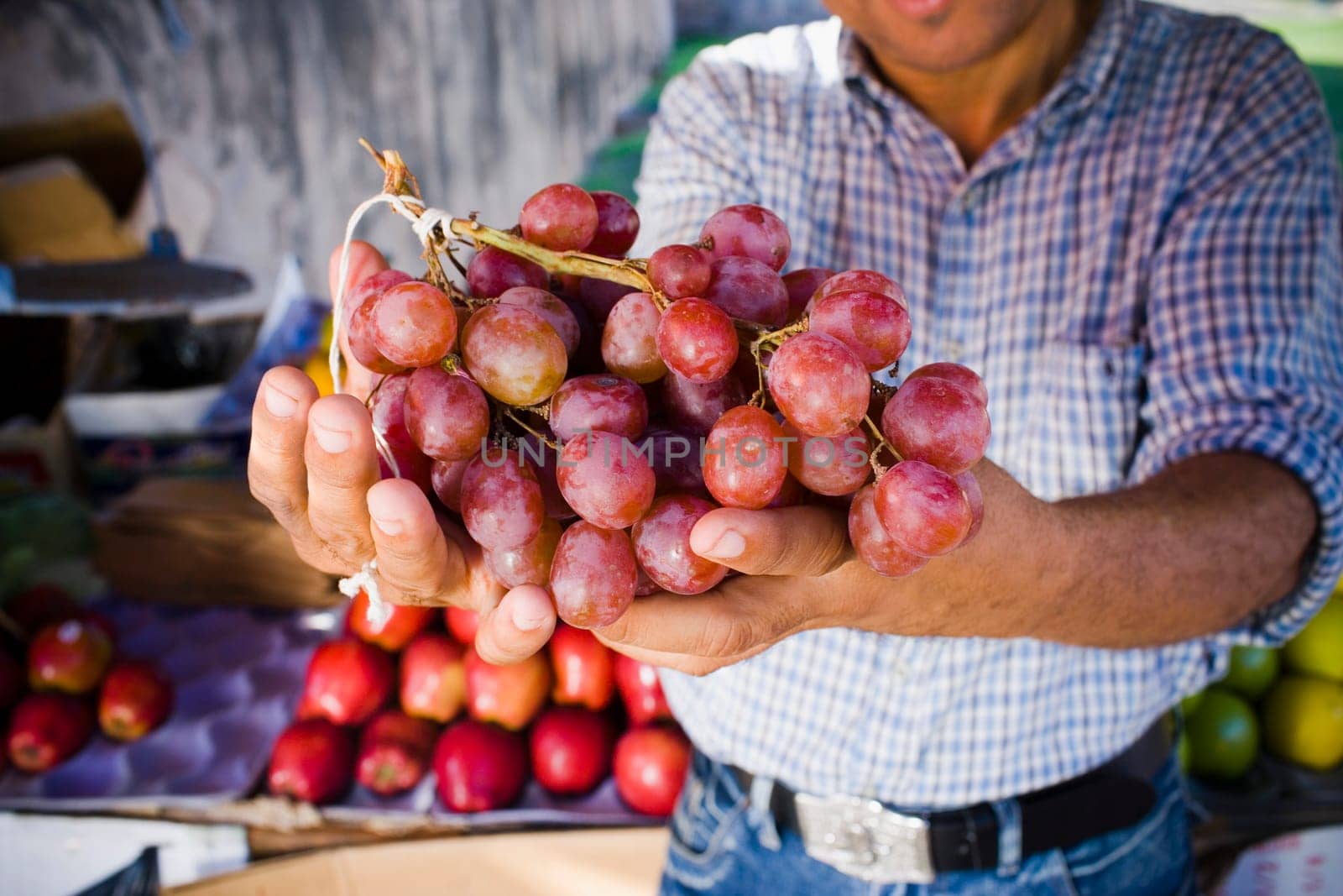 Mid section view of a person holding a bunch of red grapes, Santo Domingo, Dominican Republic