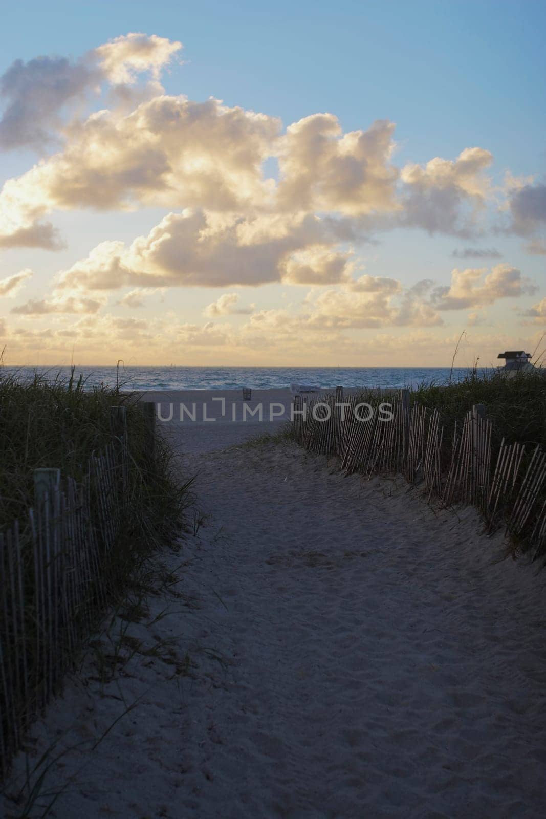 Path leading to beach