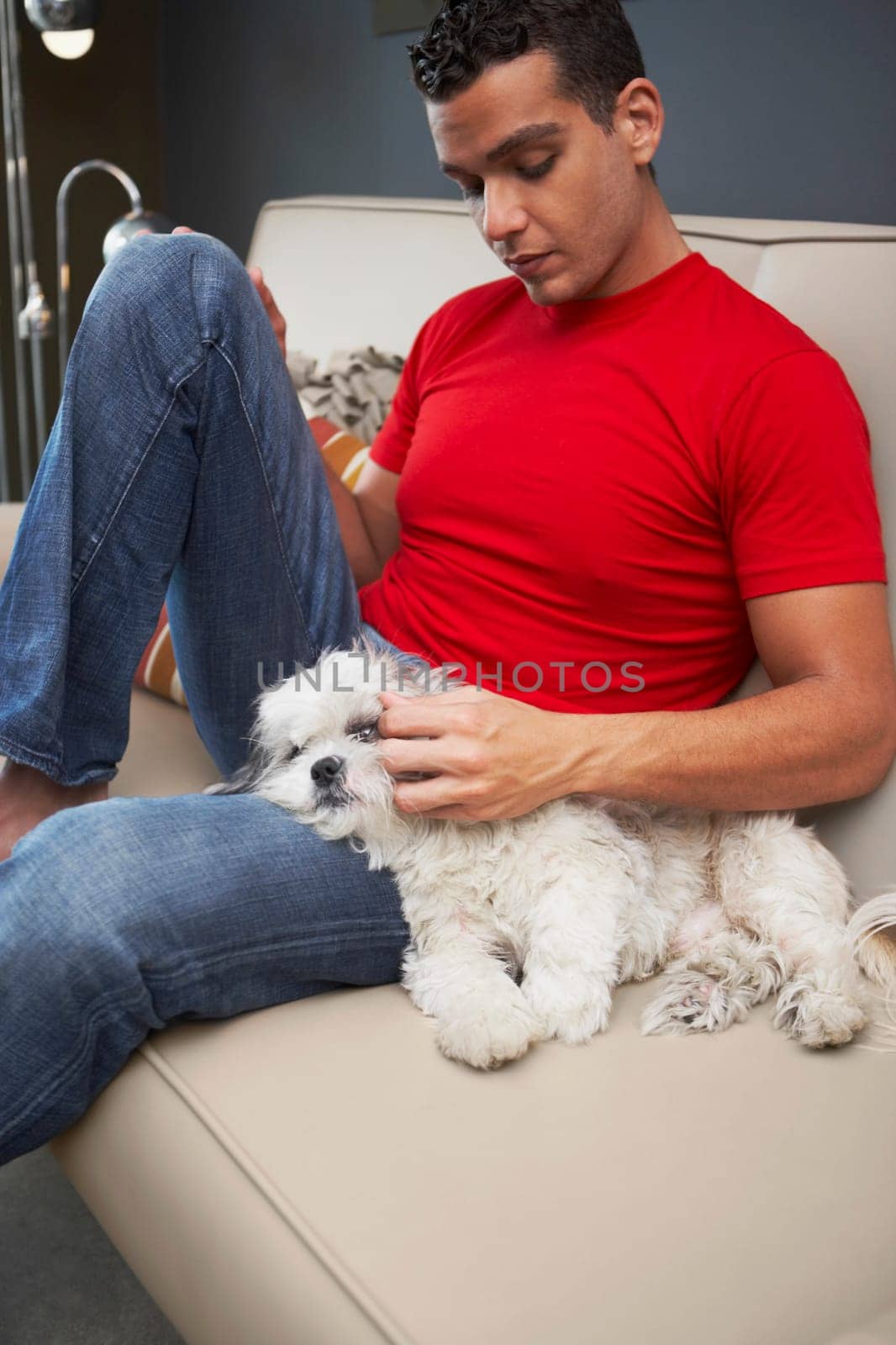 Young man and a dog on a couch