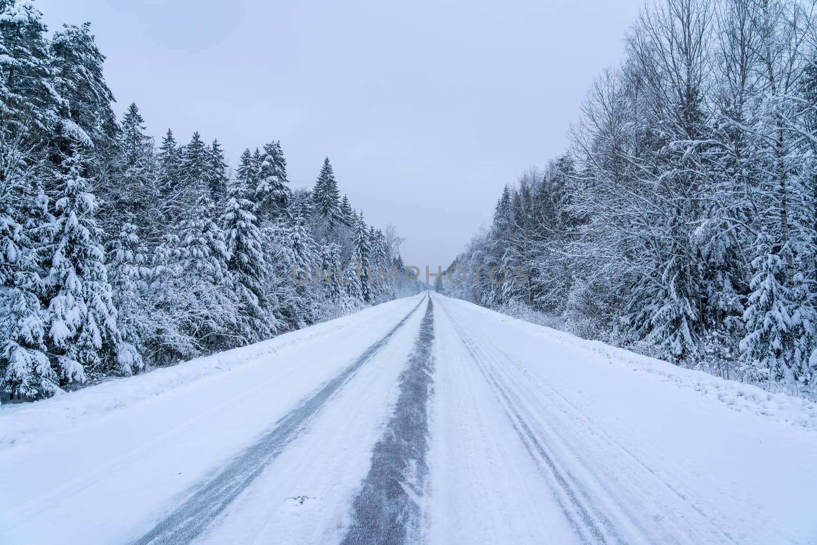 Road covered winter snow in the forest