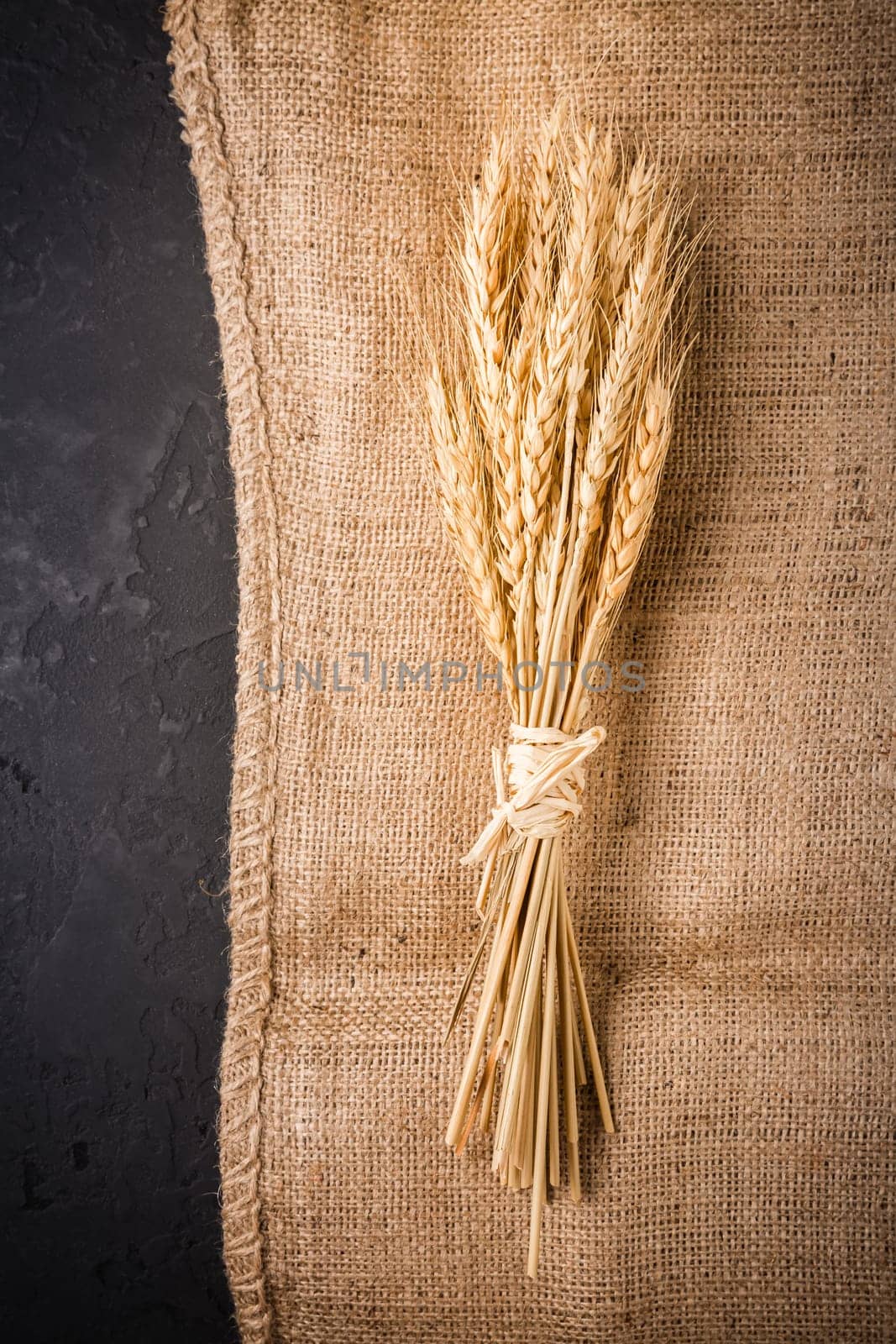 Ears of grain. Golden ears of wheat on burlap textile