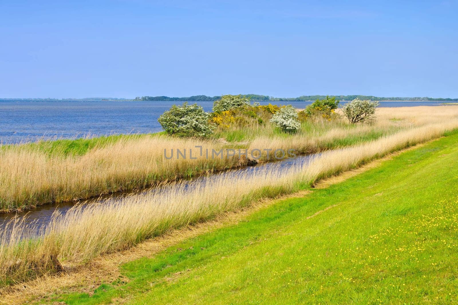 coast on island Ummanz in Germany