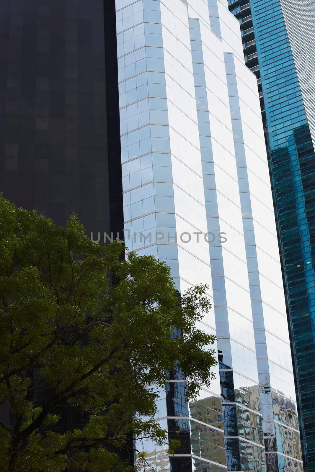 Low angle view of a tree in front of a building