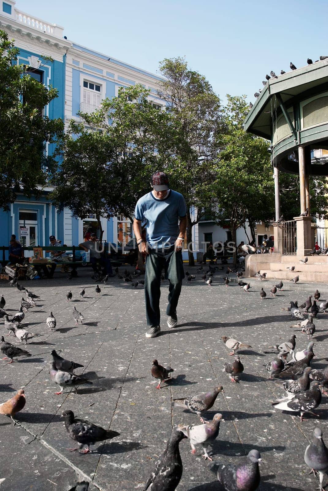 Young man standing with pigeons