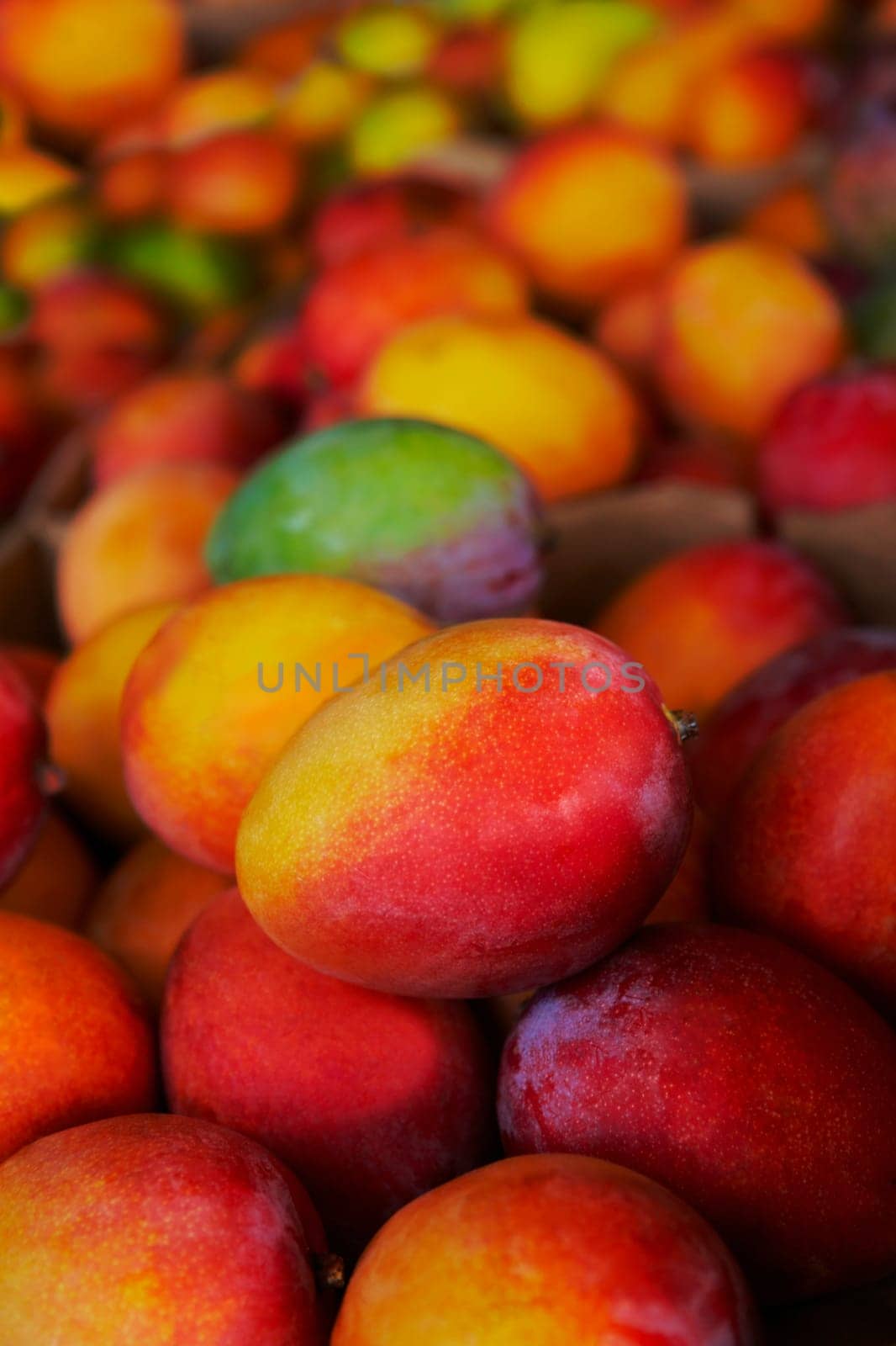 Close-up of mangoes