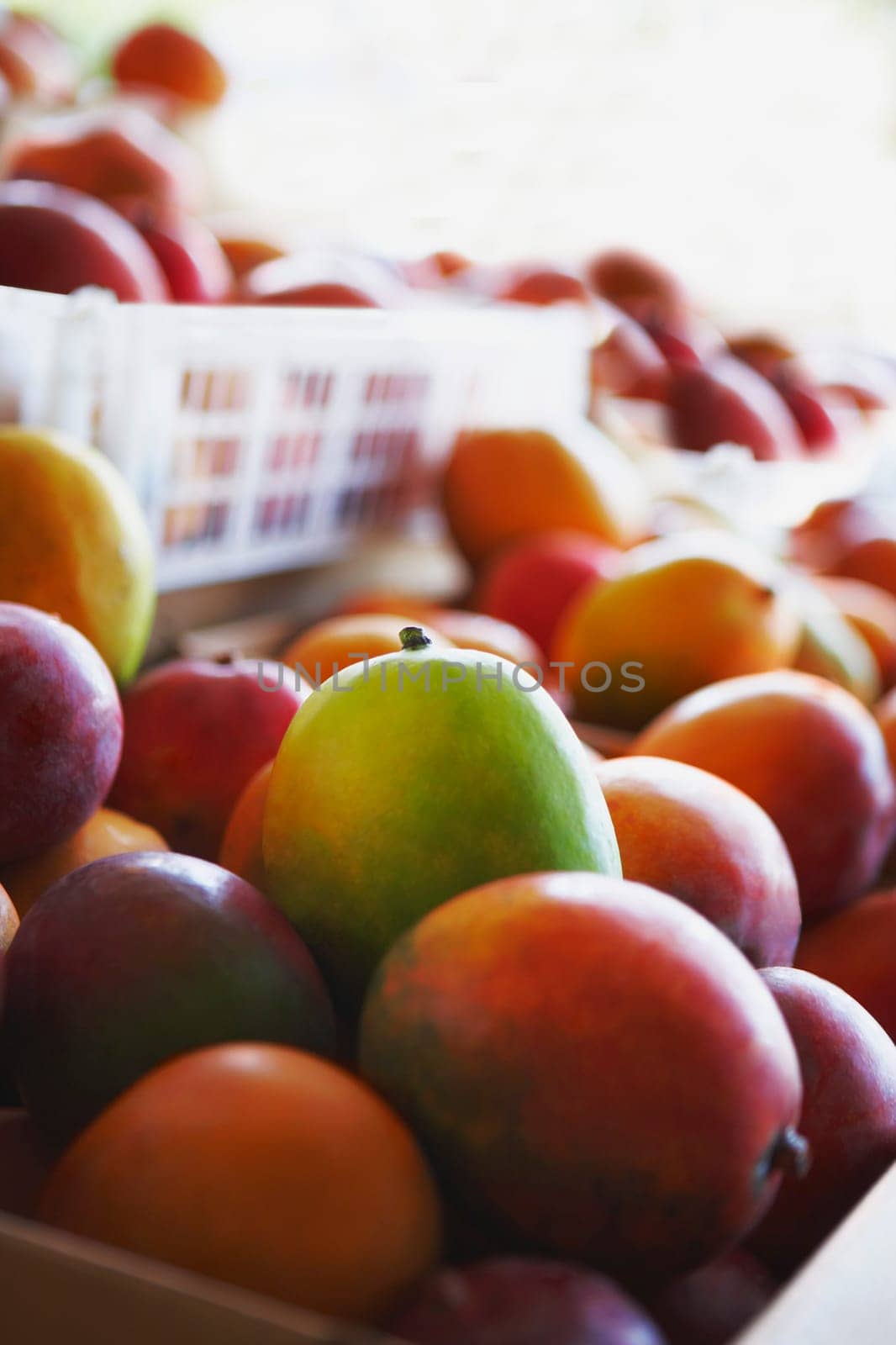 Close-up of mangoes at a fruit stand