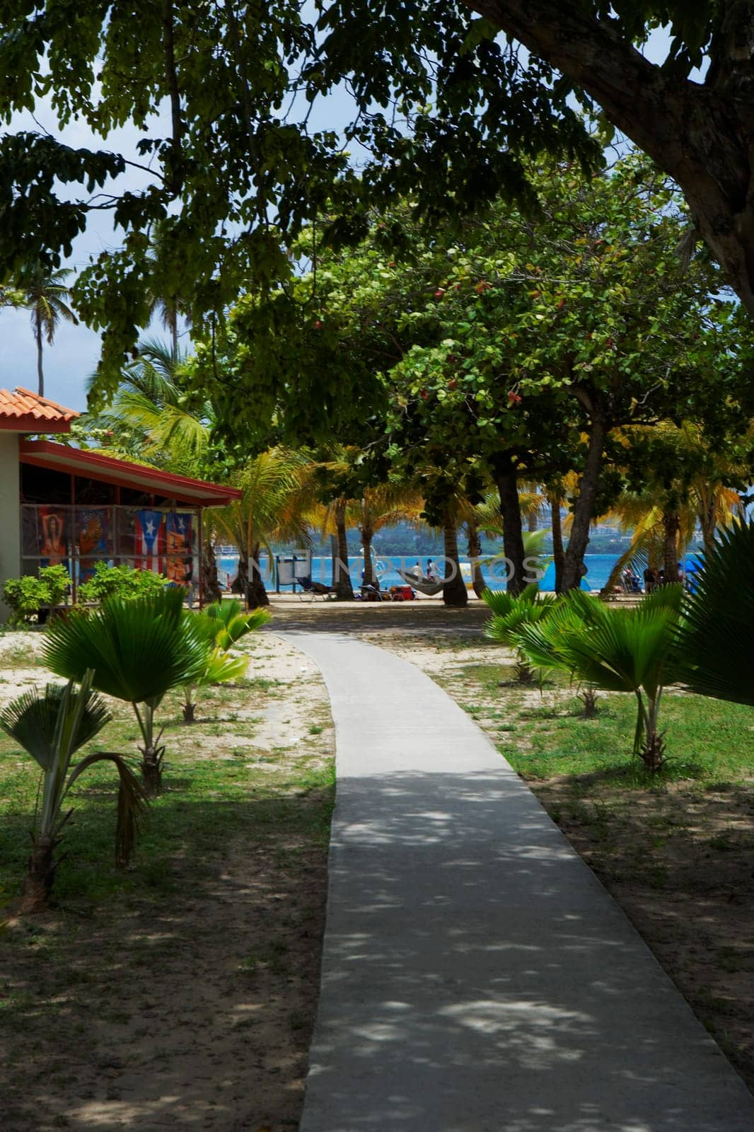 Path leading towards a store on the beach, Luquillo Beach, Puerto Rico