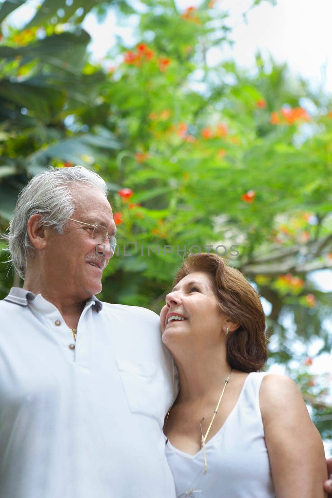 Senior couple looking at each other