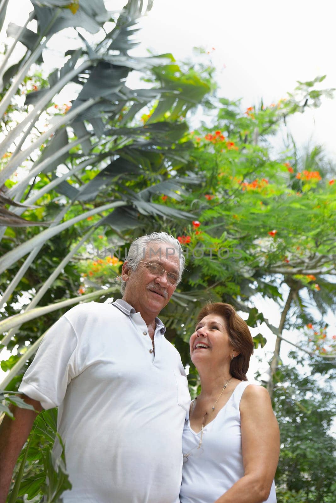 Low angle view of a senior couple standing together