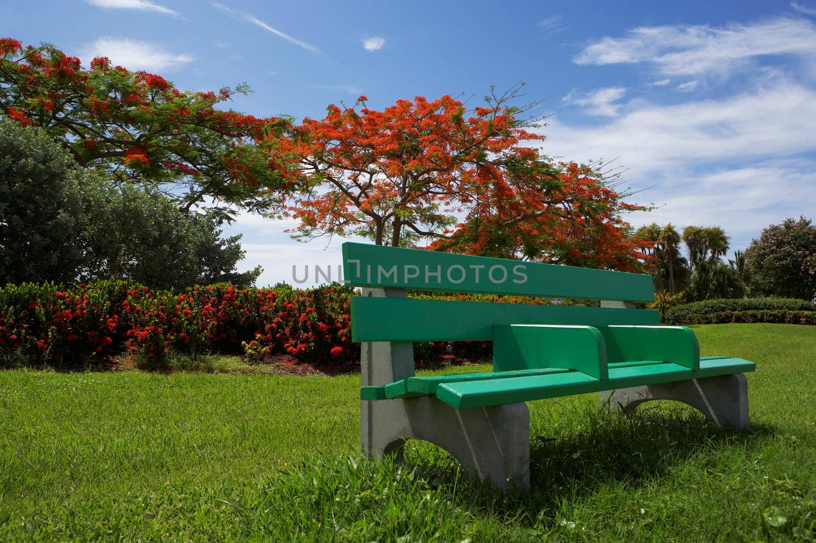 Park bench in a garden