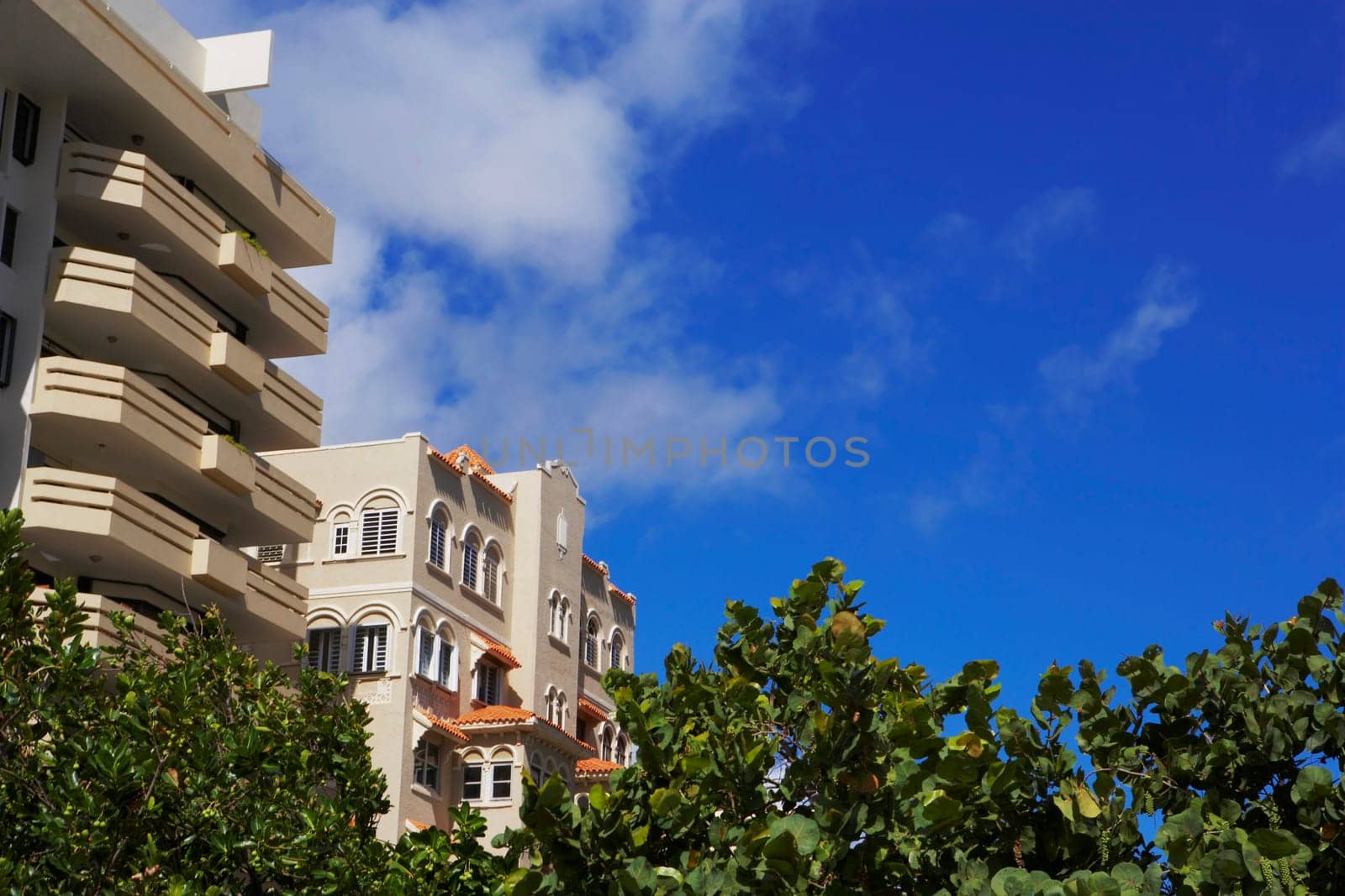 Low angle view of trees in front of buildings