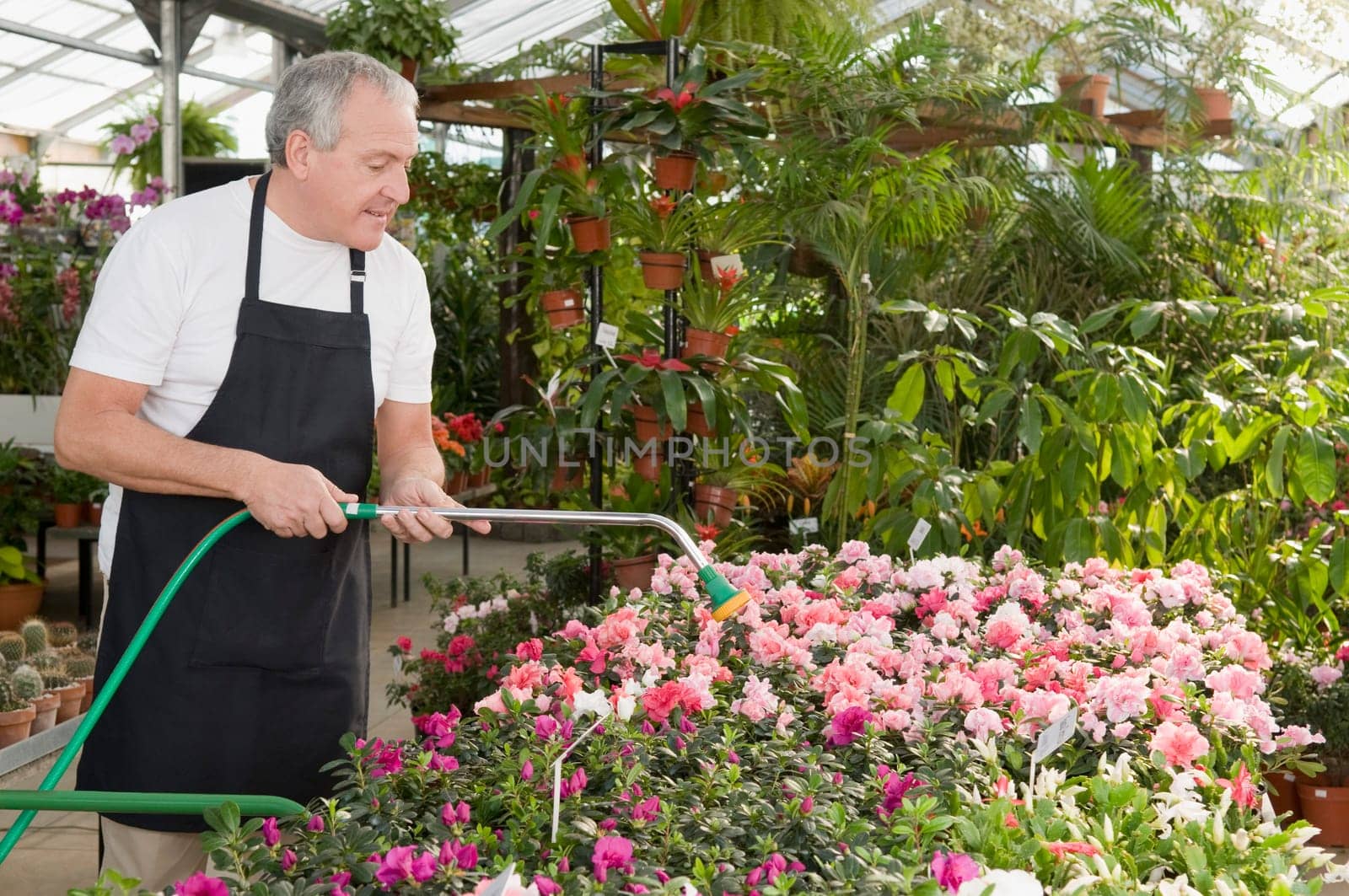 Man watering plants in a garden center