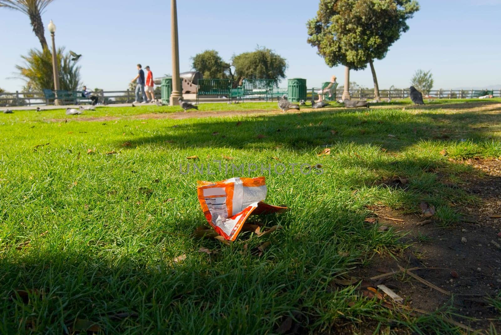Trash on grass
