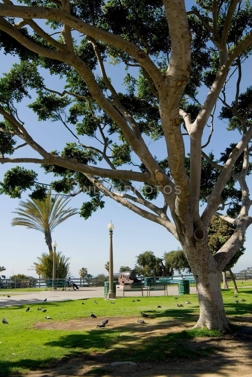 Park in Santa Monica, California