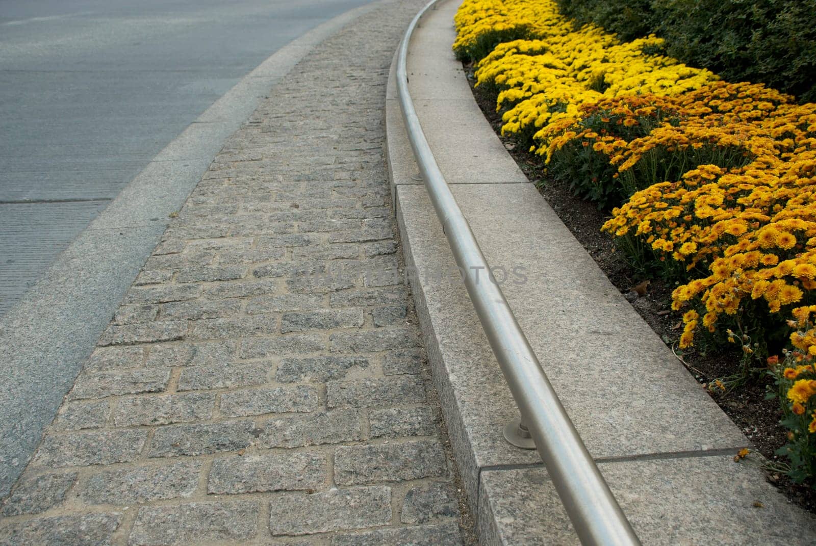 Flowers at the roadside