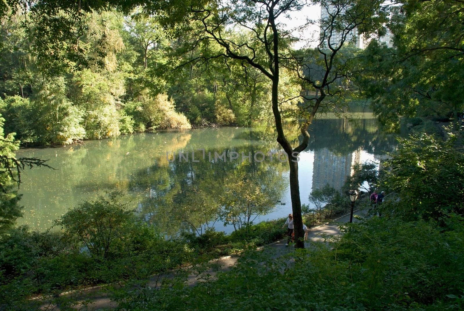 Reflection of a building and trees on water