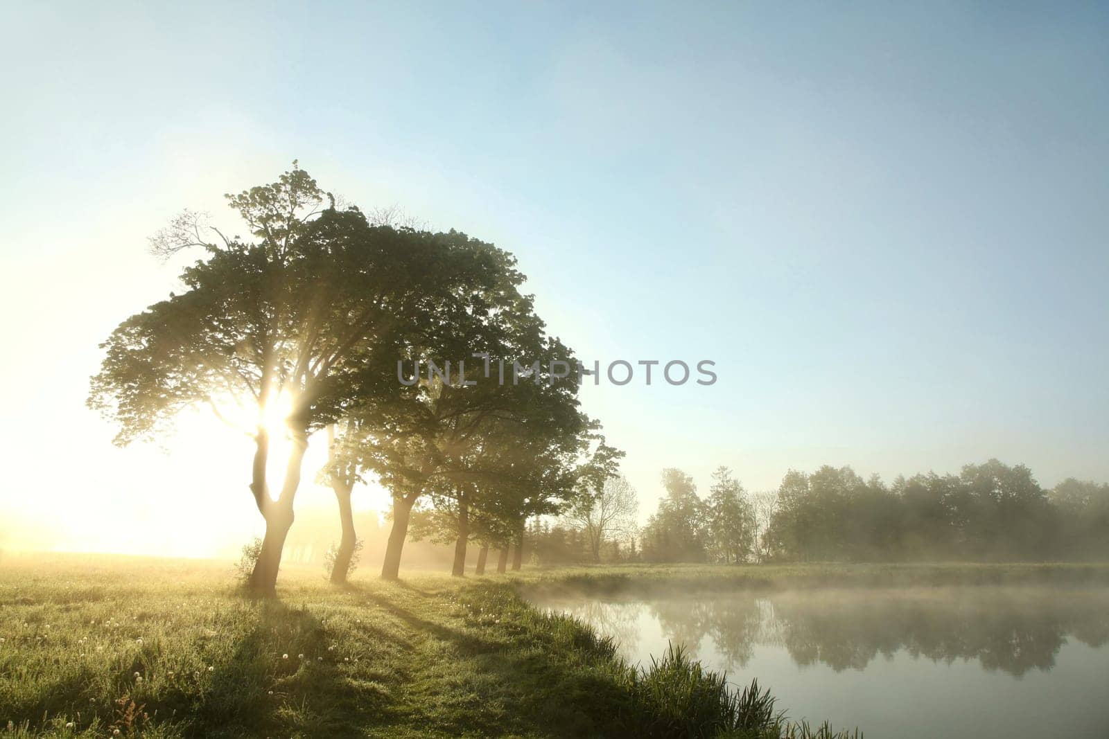 Rural landscape on a misty summer morning