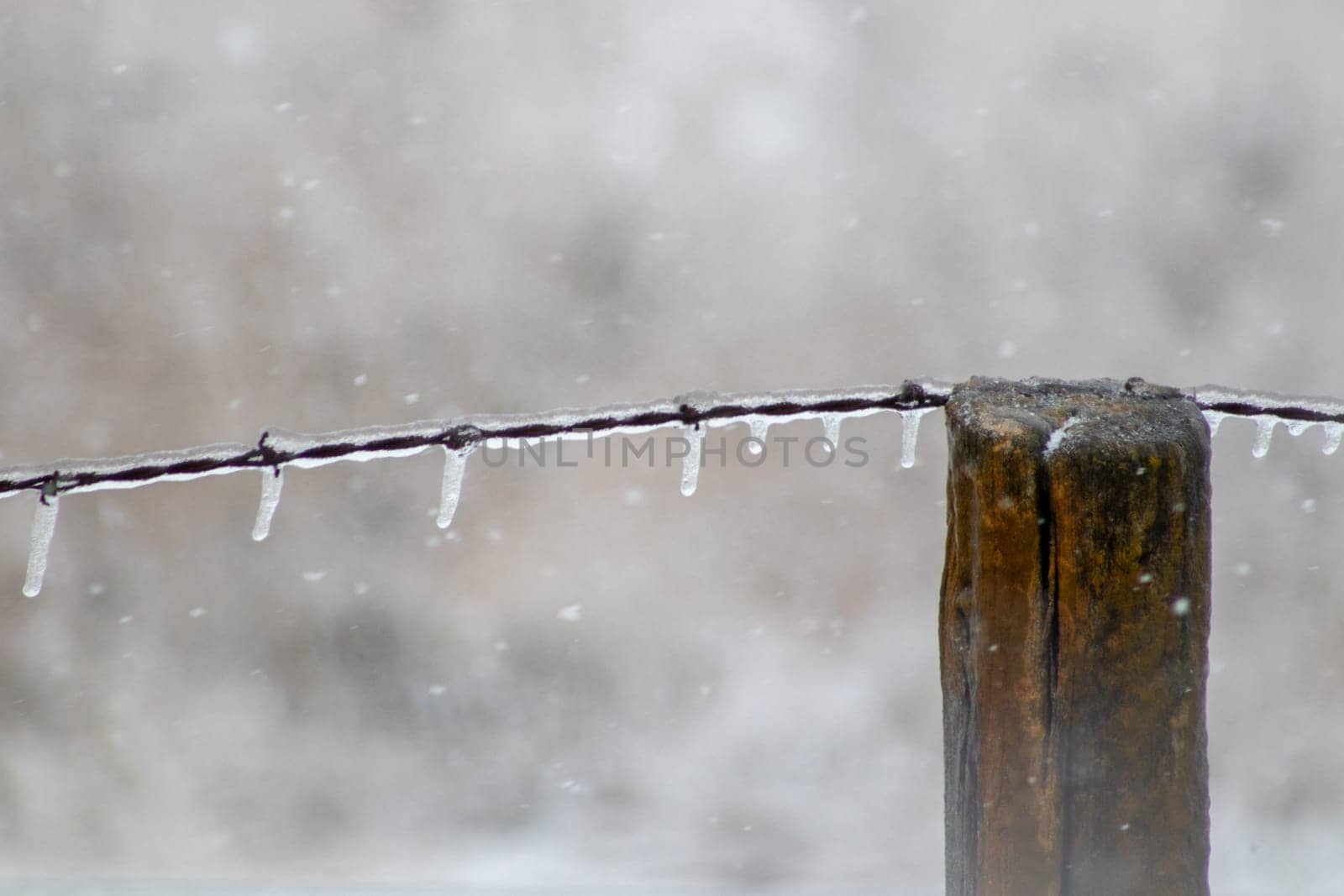 Ice covered barb wire fence and wooden post . High quality photo
