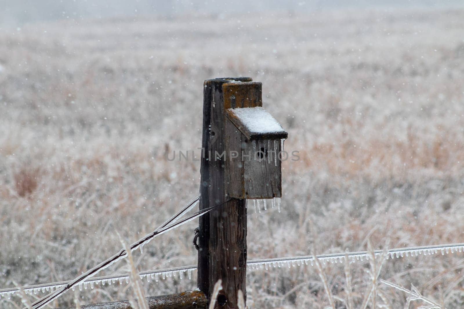 Ice icicles Covered bird house on fence post in November . High quality photo