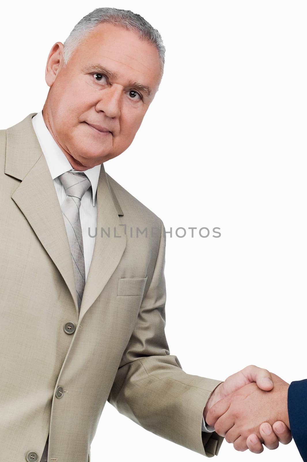 Portrait of a businessman shaking hands with another businessman