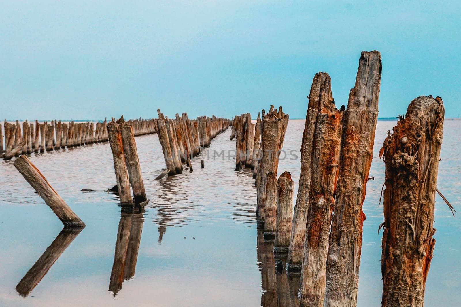 Wooden logs stand in sea water. Wooden logs stand in sea water.