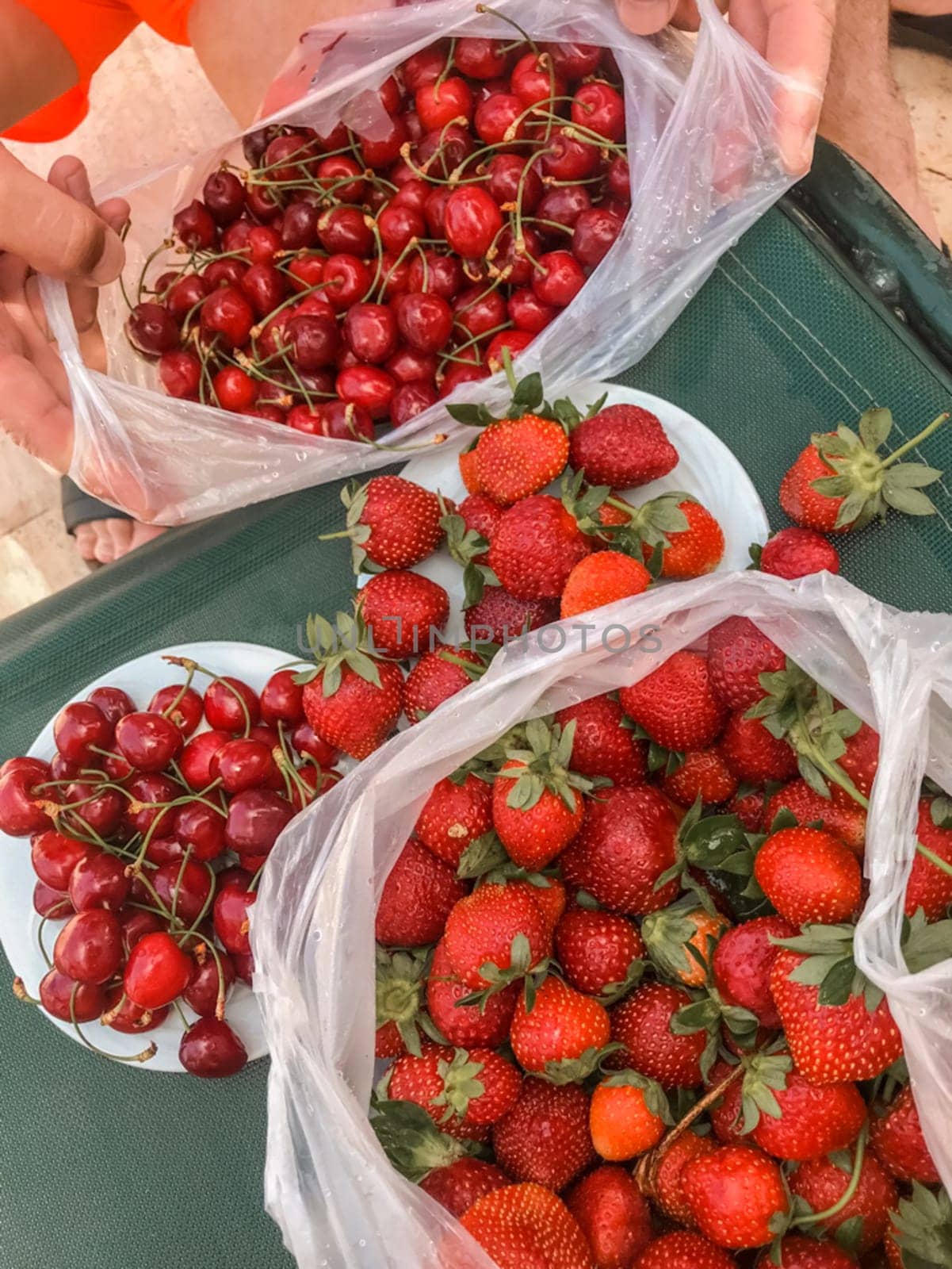 Strawberries in plastic bags and on plates. Harvest strawberries.