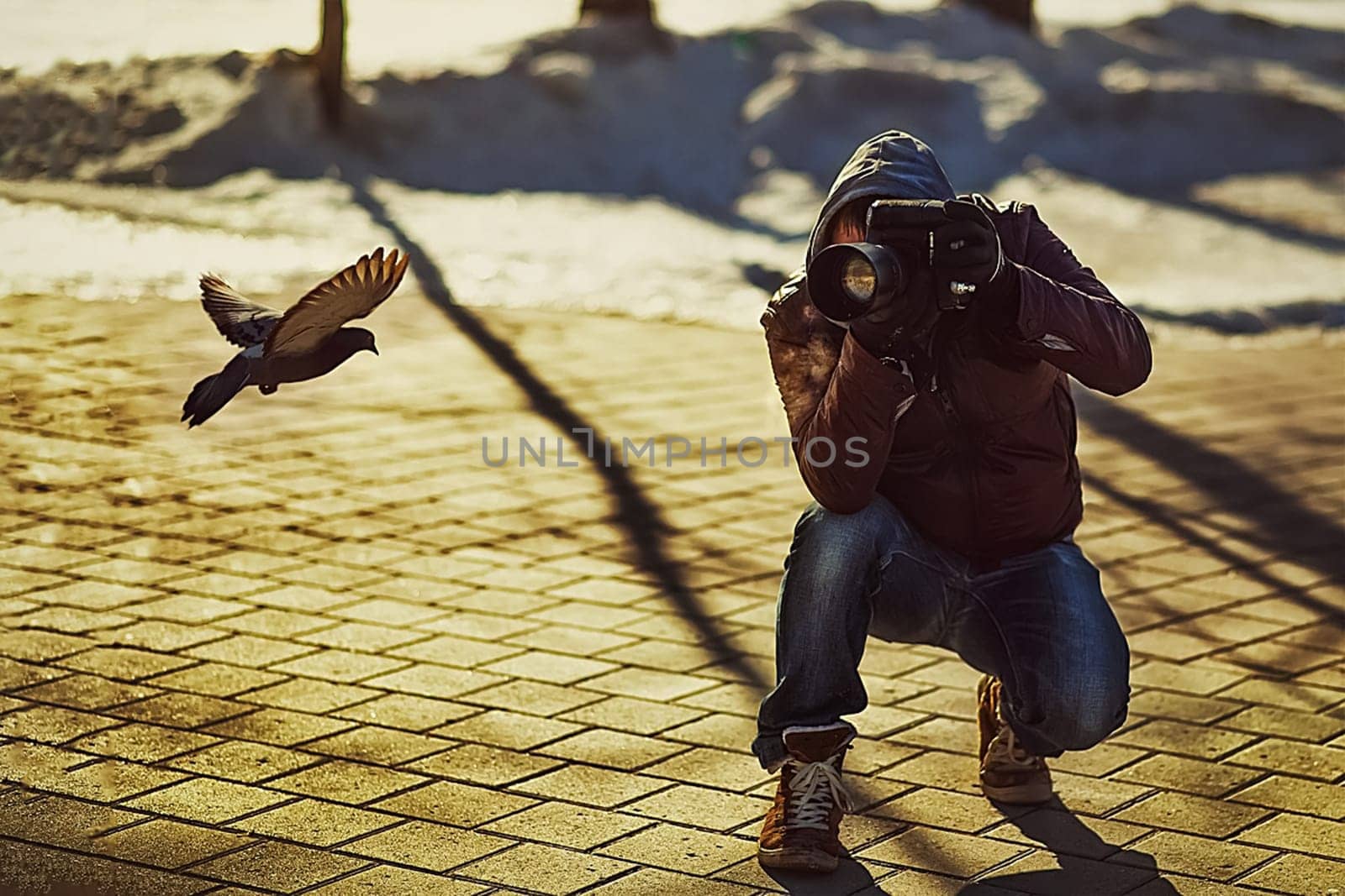 A photographer takes pictures of a pigeon on the fly. A photographer in the park.