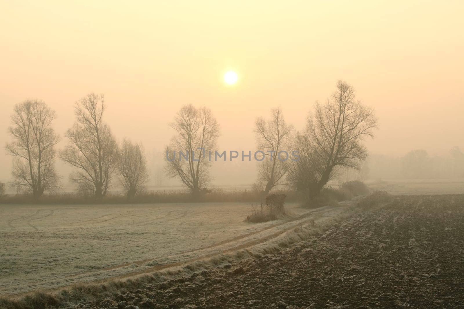 Rural landscape in the foggy November morning