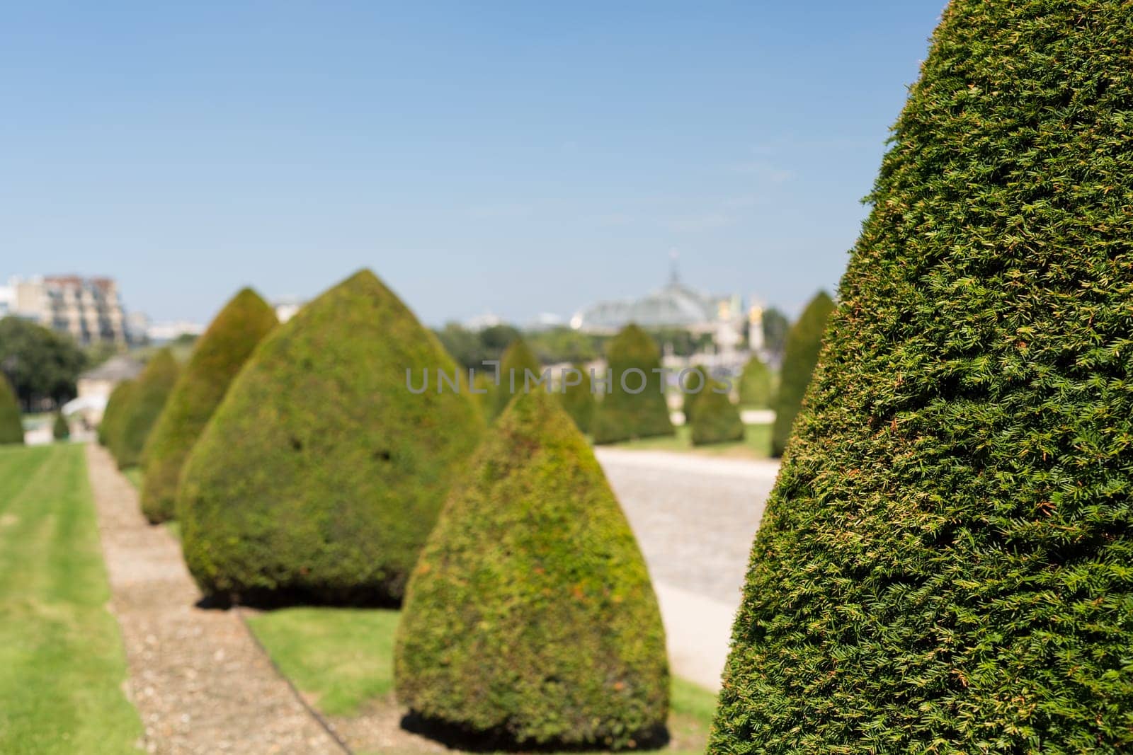 The beautiful gardens of invalides in Paris