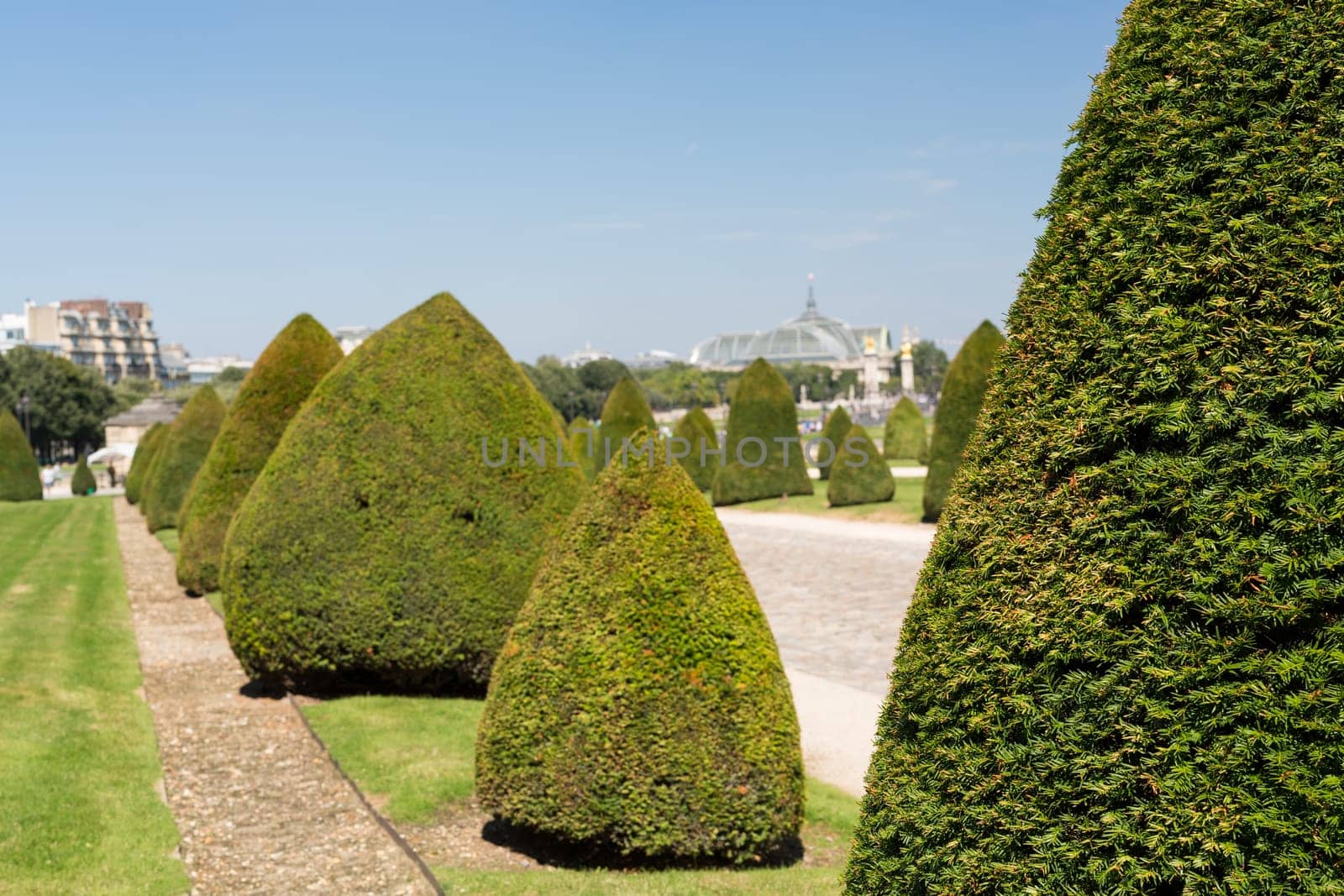 The beautiful gardens of invalides in Paris