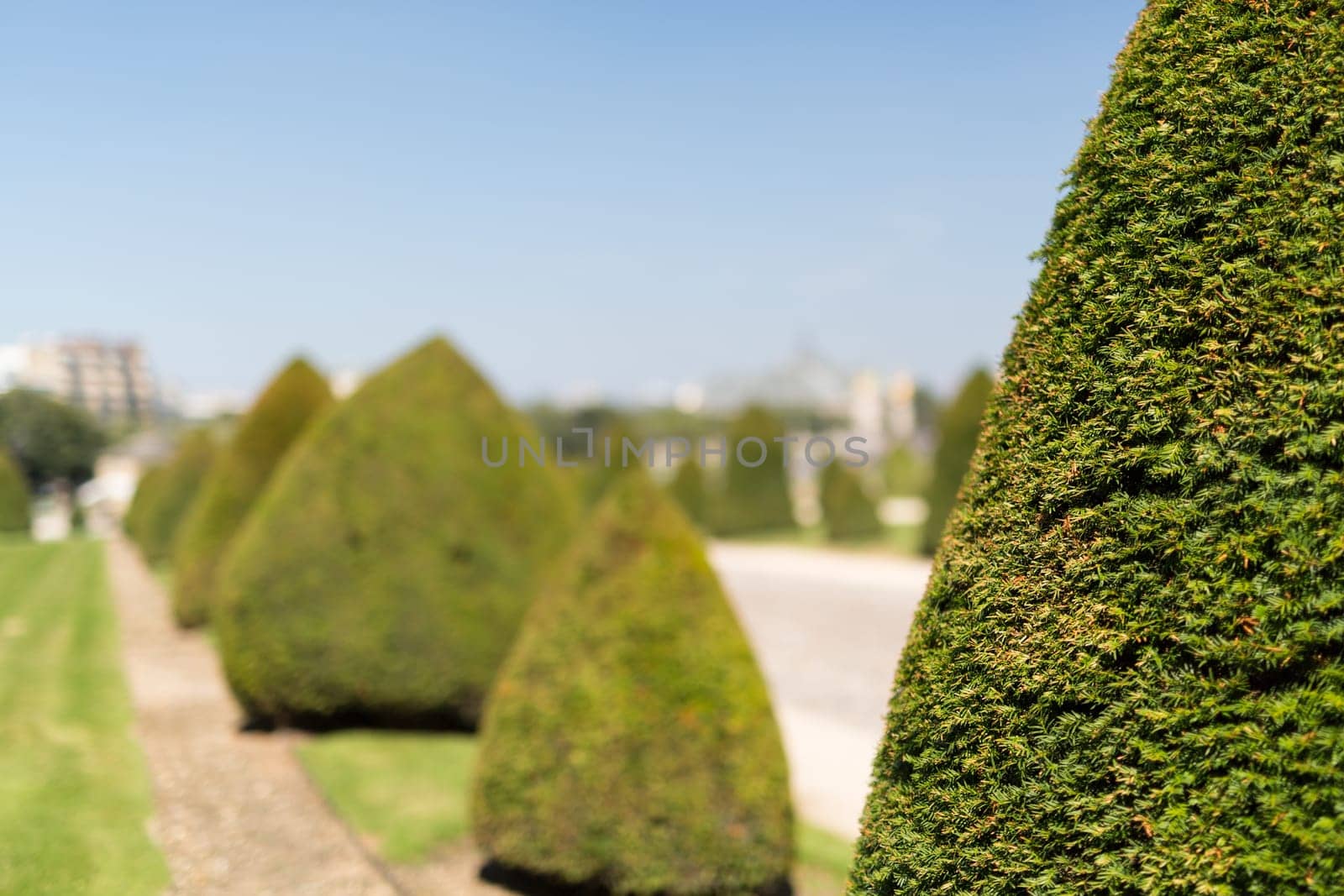 The beautiful gardens of invalides in Paris