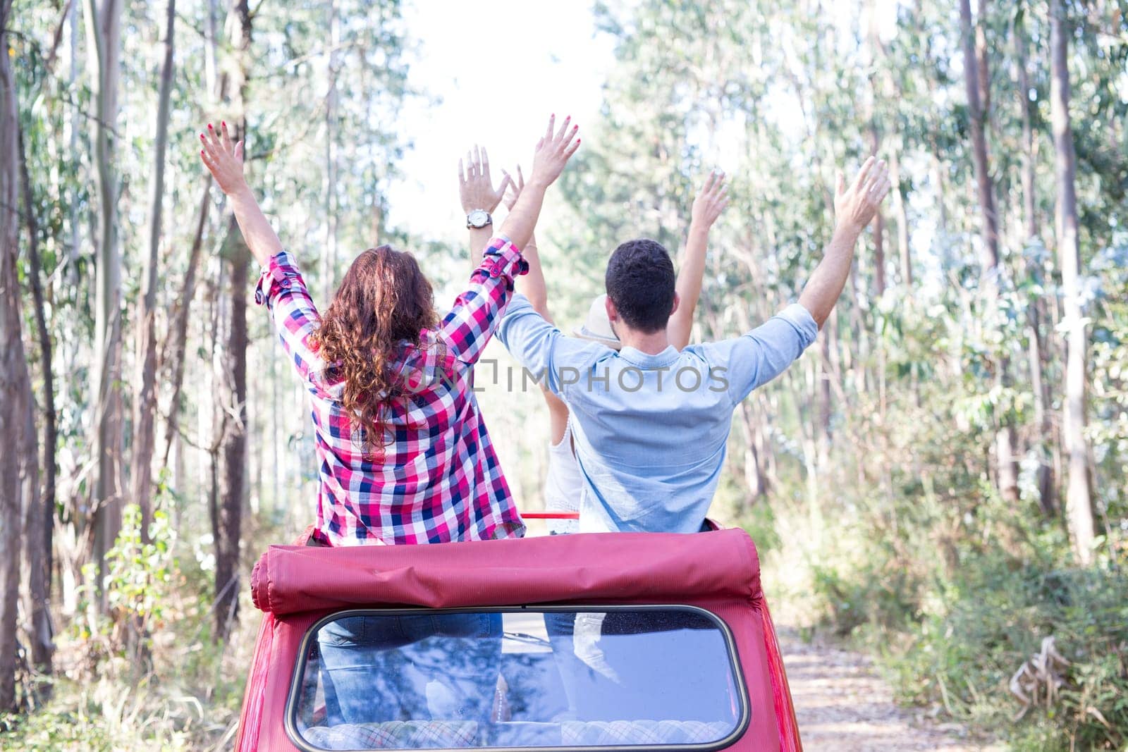 Group of friends on a roadtrip through countryside