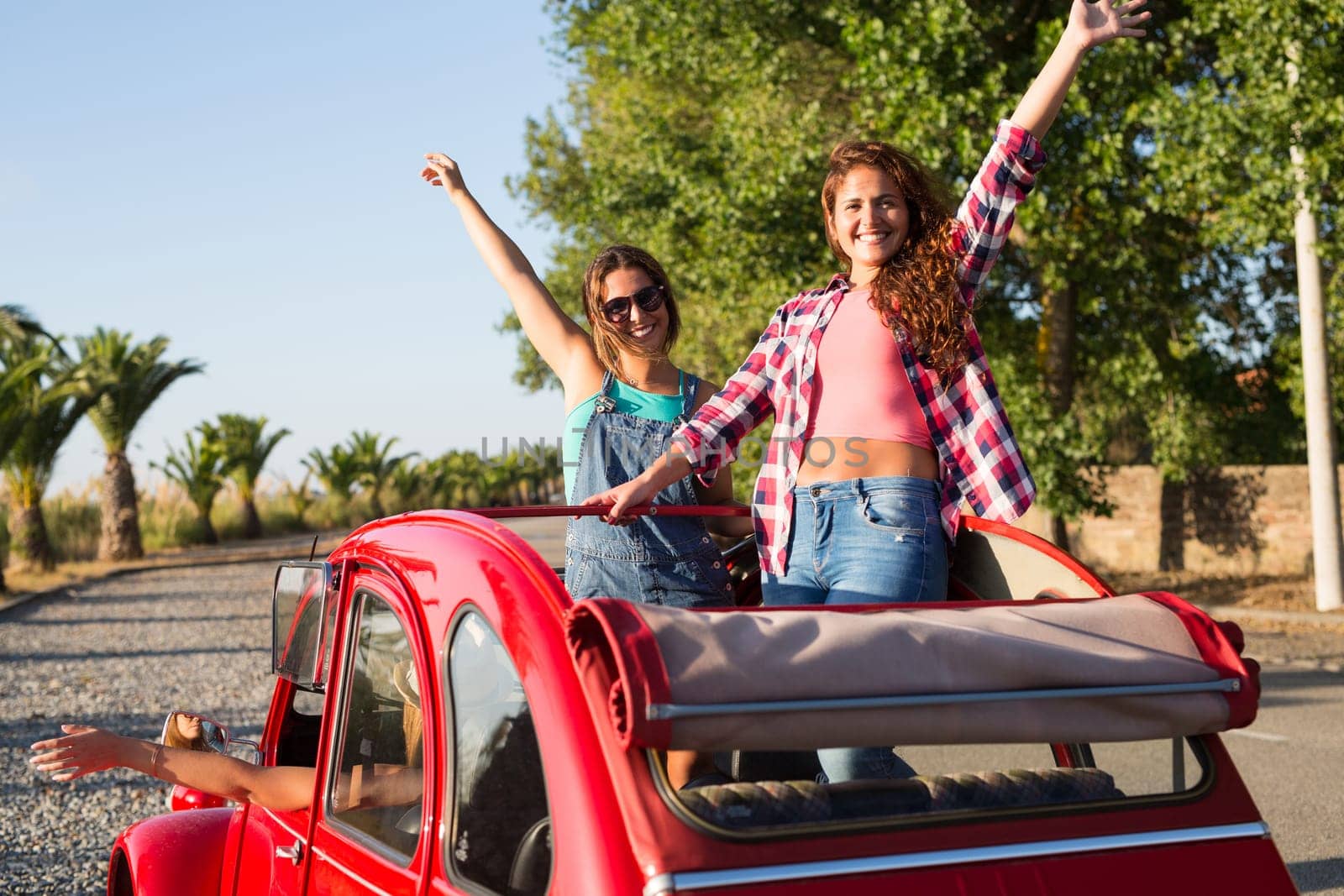 Group of friends on a roadtrip through countryside