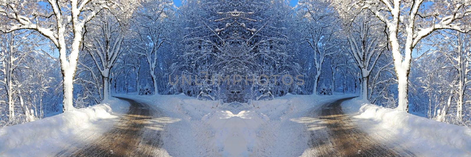 A snowy winter road with trees in Bavaria