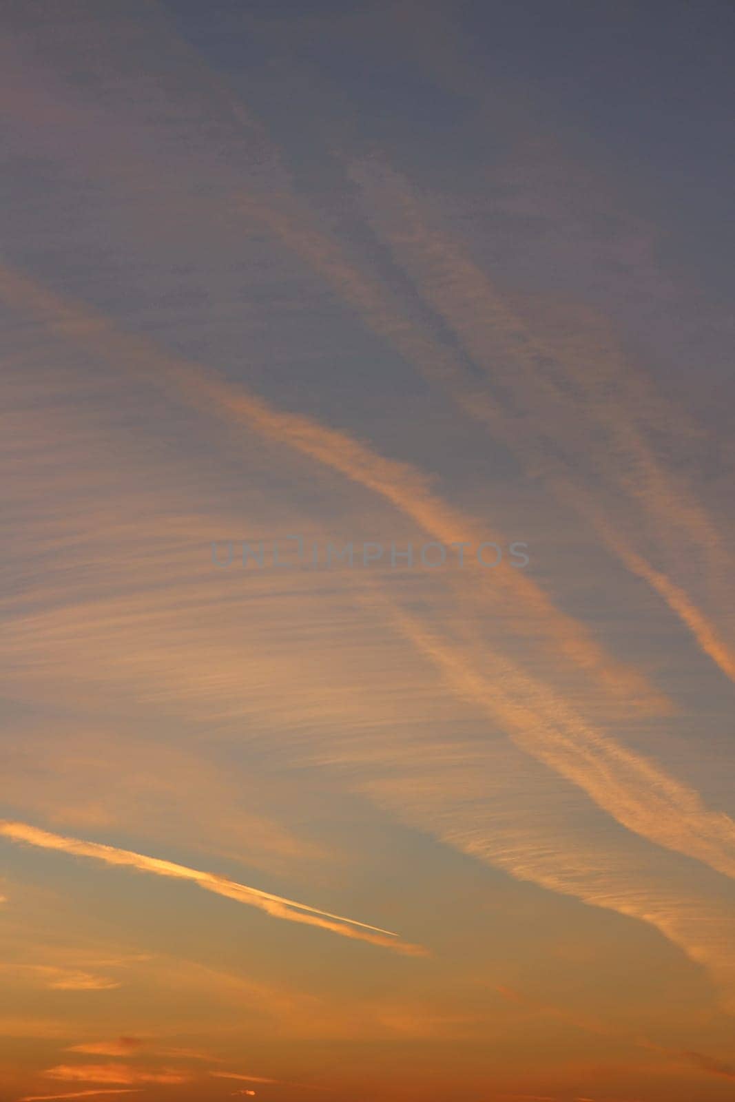 evening sky with red cirrus clouds with airplane trails