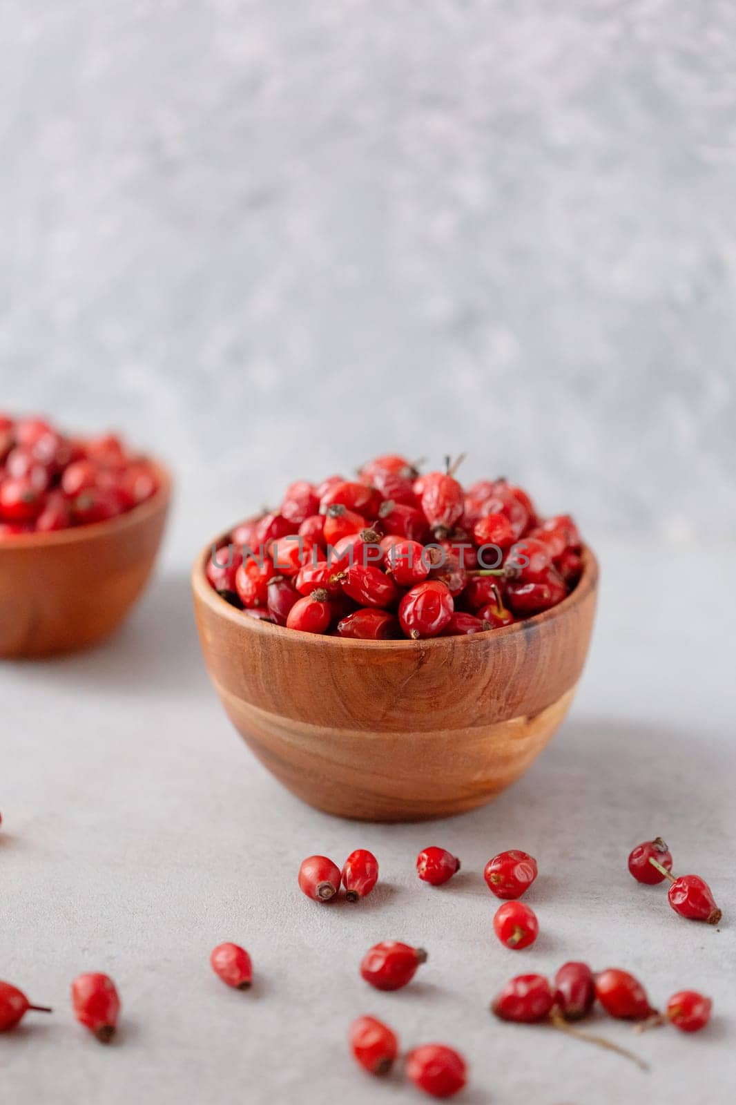 Medicinal plants and herbs. Rose hips berries on concrete background with copy space. Dried fruits for herbal teas and essential oils. Selective focus. Vertical orientation.